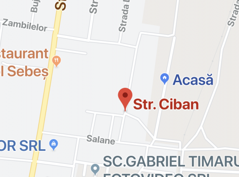 Chef domolit de politisti, in Sebes, pe strada Cibanului. Urmatoarea distractie ii va costa 6000 de lei, pe petrecareti. Chef domolit de politisti, in Sebes, pe strada Cibanului. Urmatoarea distractie ii va costa 6000 de lei, pe petrecareti.