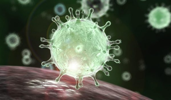 Informații despre noul coronavirus Informații despre noul coronavirus